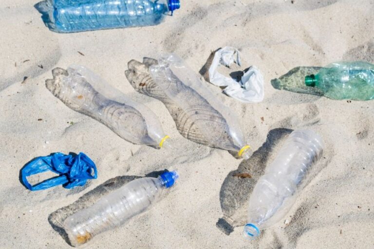 S plastovými odpadky se dnes bohužel potkáte všude, klidně i na pláži u moře. Foto: Freepik