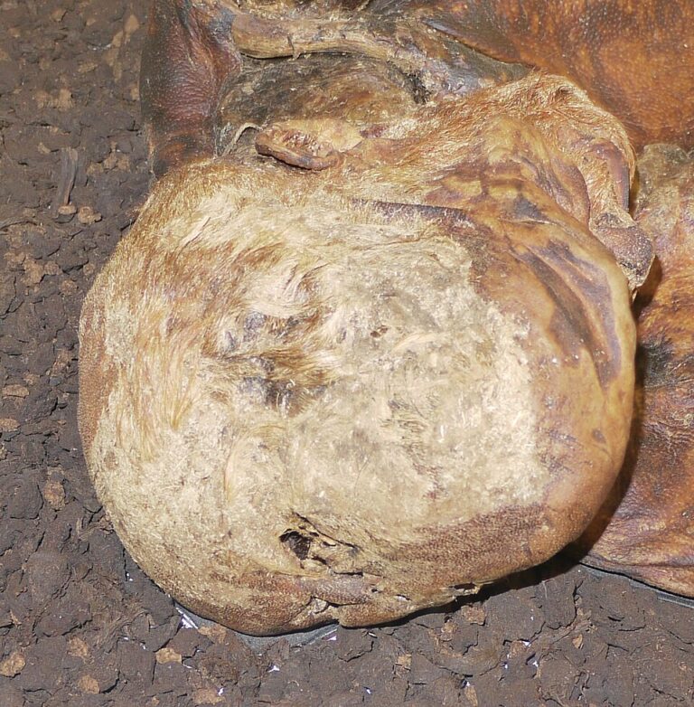 Muž byl s největší pravděpodobností vylákán k rašeliništím a zavražděn.