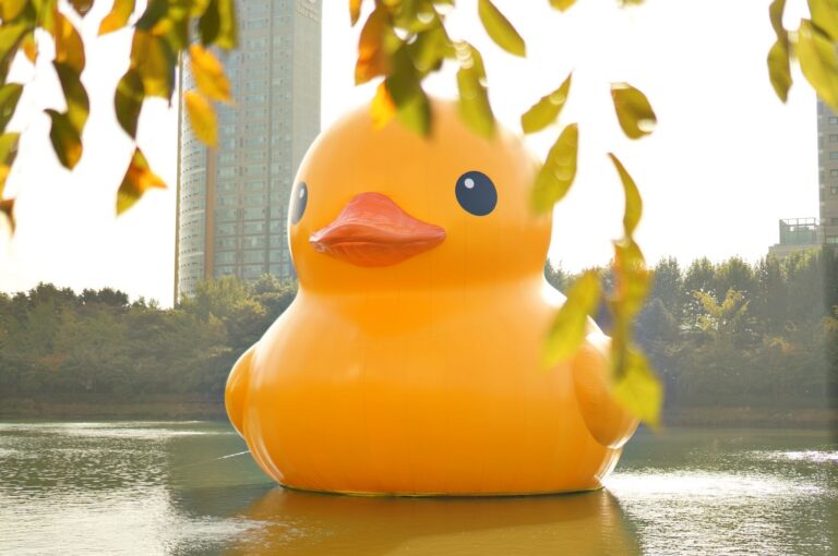 Obří putovní kachna nizozemského umělce Florentijna Hofmana je vysoká přes 30 metrů.