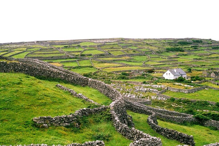 Irsko dlouhá léta skáče, jak Britové pískají. Nakonec si samostatnost vydupou.