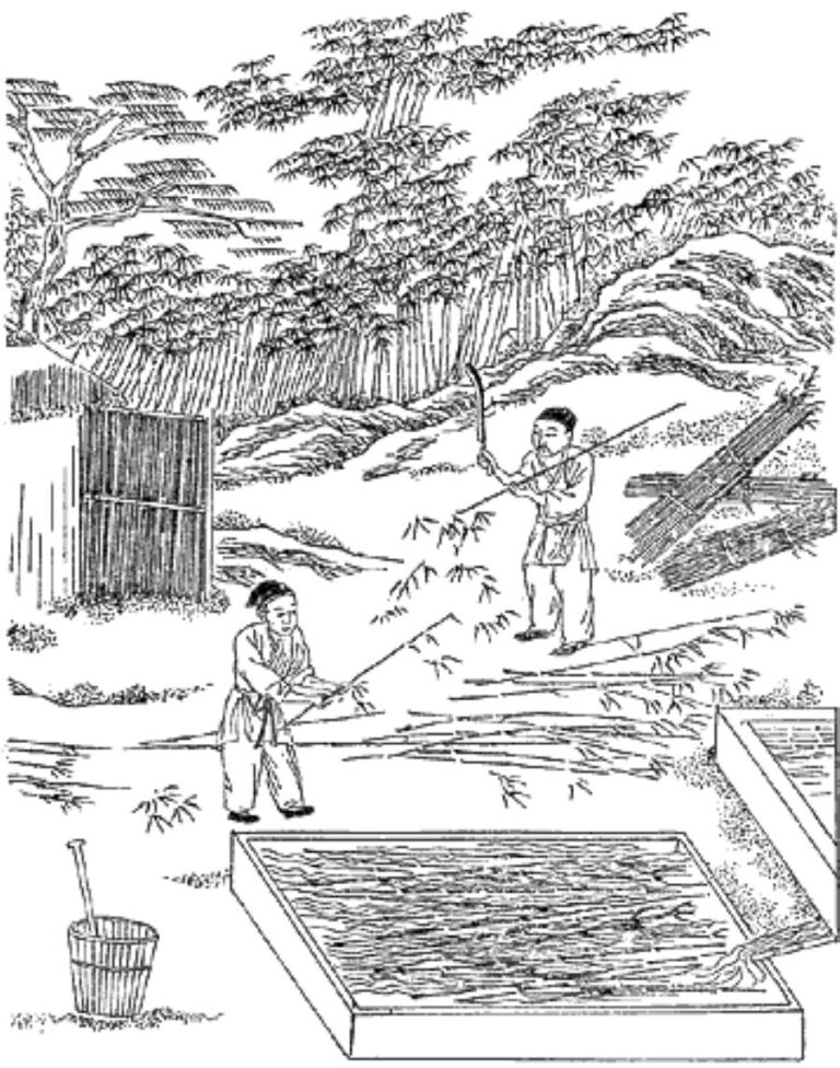 Dřevoryt zobrazující jeden z klíčových kroků ve starověké čínské výrobě papíru. Foto: Unknown pre-modern painter of the 1637 Tiangong Kaiwu of the Ming dynasty/Creative Commons/Public Domain