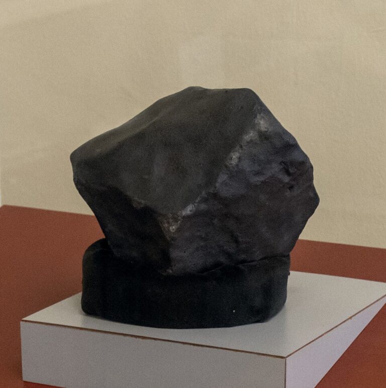 Slavný meteorit je v současnosti vystaven v Alabama Museum of Natural History.