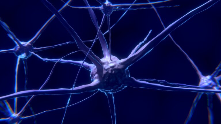 Neurony v mozku přenášejí i ty myšlenky, které neumíme pojmenovat. Otázkou však je, jestli o nich vůbec víme.