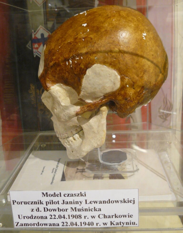 Lebka jediné popravené ženy z Katyně je dnes v muzeu v Lusowě.