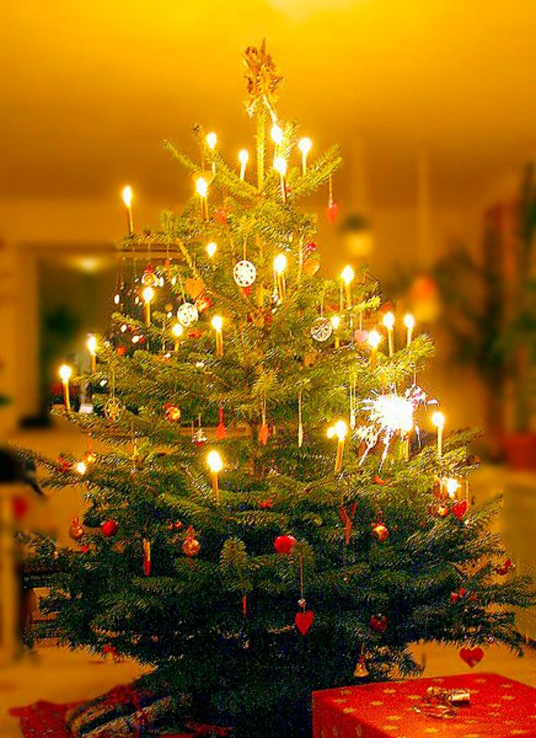 Dnes bývá stromeček samozřejmou součástí Vánoc. Je tomu ale jenom 205 let.