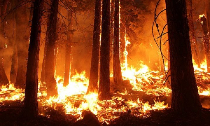 Lesní požár v Manitobě