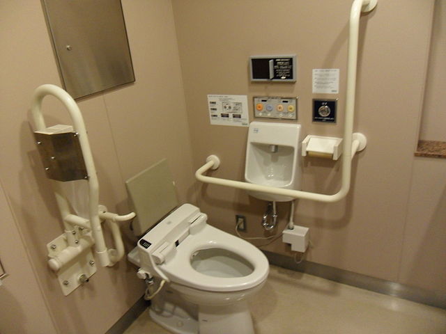 Udělejte si pohodlí na japonské toaletě.