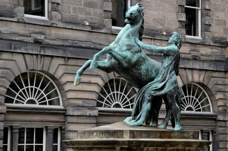 Bukefalos je patrně nejslavnějším koněm antiky.
