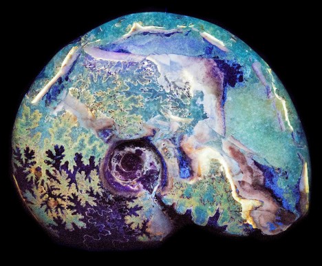 Nádherné barevné variace opálů fascinovaly lidstvo už od dávných časů, patřil k žádaným a velmi cenným drahokamům.
