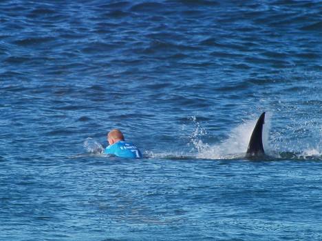 Jedním z napadených byl i surfař Mick Fanning. Záběry žraloka pronásledujícího sportovce u jihoafrického pobřeží obletěly svět.