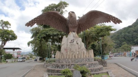 Uprostřed venezuelského města Caripe má pták gvačaro dokonce obří pomník.