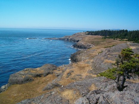 V oblasti aragonitových hornin nalezených na pobřeží Lopez Island v americkém státě Washington byly zjištěny zvláštní izotopy uhlíku.