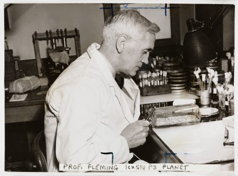 Používání antibiotik odstartoval objev skotského lékaře Alexandra Flemminga, kterému se podařilo v roce 1928 získat penicilin z plísně Penicillium notatum.