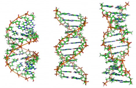 Obr. 04 DNA