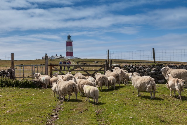 Na ostrově pobývají pouze chovatelé ovcí a jediný správce.