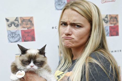 Své majitelce vydělala Grumpy Cat desítky milionů dolarů.